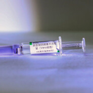 Coronavirus : un vaccin va être testé sur l&#039;homme dès juillet en France