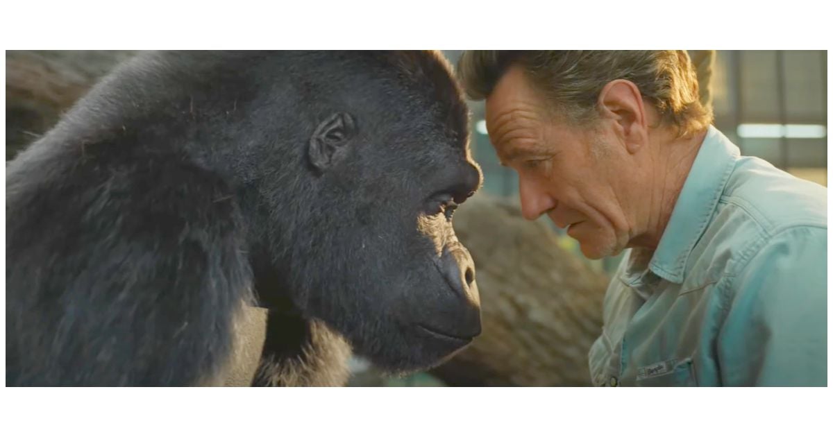 Le Seul Et Unique Ivan Film Le seul et unique Ivan : Disney+ va vous faire pleurer avec ce film