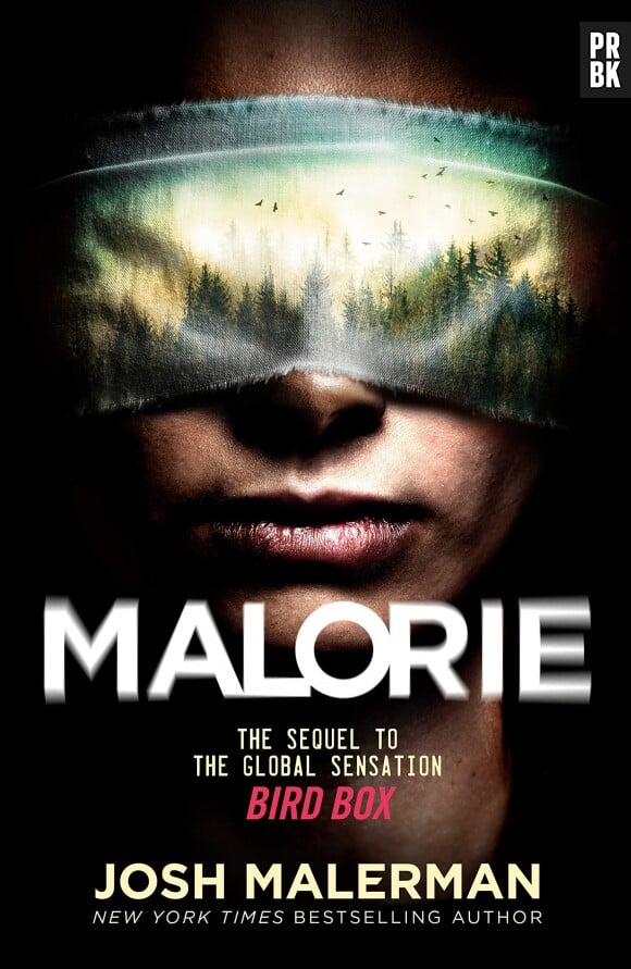 Malorie, la suite de Bird Box en livre, sort en juillet 2020 aux Etats-Unis