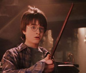 Harry Potter à l'école des sorciers : une fan est devenue riche... grâce au livre