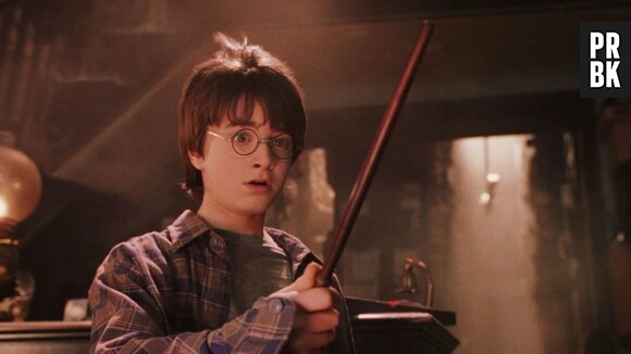 Harry Potter à l'école des sorciers : une fan est devenue riche... grâce au livre