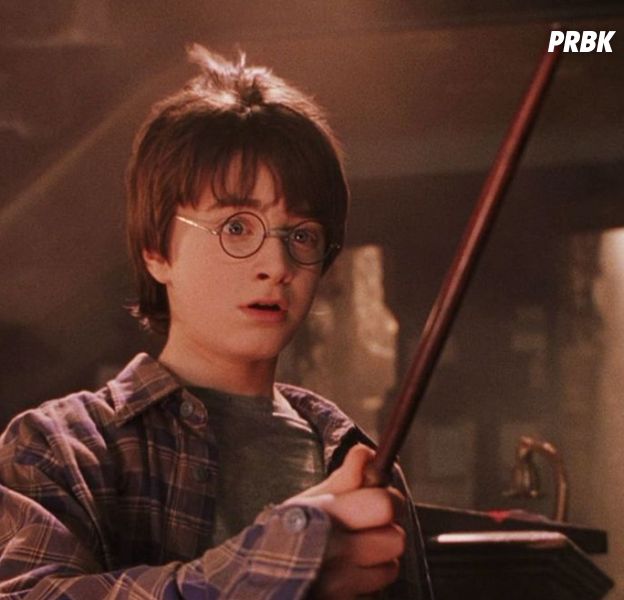 Harry Potter à l'école des sorciers : une fan est devenue riche... grâce au livre