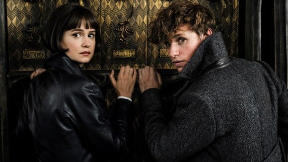 Les Animaux Fantastiques 3 : nouveau problème sur le plateau, le tournage encore en pause