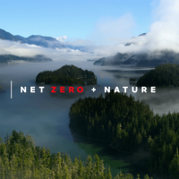 Netflix dévoile son plan pour réduire son empreinte carbone à 0 d'ici fin 2022