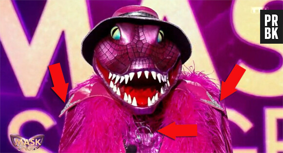 Mask Singer 2022 : les indices du crocodile, des références à The Voice et à la musique ?