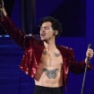 Harry Styles s'arrête en plein concert... pour une raison complètement insensée