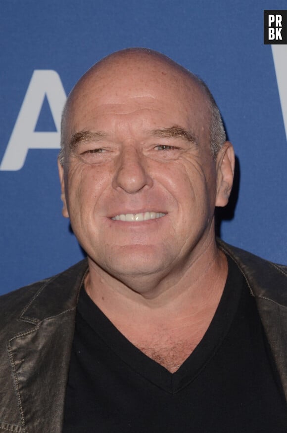 Pour assurer la perduration de cette mobilisation, nombreuses sont les célébrités, comme Dean Norris à vendre... Des vidéos-dédicaces.  
Dean Norris lors du ''Oceana and The Walden Woods Project Present: Rock Under The Stars With Don Henley and Friends'' à Los Angeles, le 17 juillet 2017. 