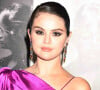 Oui oui, il a suffit de quelques mimiques pour que Selena Gomez devienne un meme. Il faut avouer que ses expressions sont irrésistibles. Grimaces, exaspération, ennui, enthousiasme soudain... En partageant des montages de chaque apparition de la jeune chanteuse, les internautes y sont allés de leurs vannes. 
Selena Gomez - Photocall de la première du film "Selena Gomez, My mind and me" à Hollywood le 2 novembre 2022. 