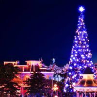 Disneyland Paris dévoile son incroyable Symphonie des Couleurs : vous allez adorer que Noël se termine ! Purebreak vous détaille le programme