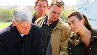 NCIS : McGee également présent dans le spin-off centré sur Tony et Ziva ? Sean Murray y croit