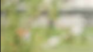 High School Musical de retour ? Un nouveau film avec Zac Efron serait en préparation (et on va tous se prendre un violent coup de vieux)