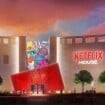 Vous avez de l'argent à dépenser ? Netflix dévoile son projet entre parc d'attractions et centre commercial