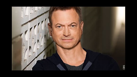 Audiences ... Les Experts écrasent Les Victoires de la Musique