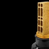 Les Gérard 2011 : Vincent Cerutti modèle d'autodérision, ne demande que ça