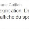 Stéphane Guillon tweete sa pein