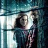 Hermione et Ron sur une affiche d'Harry Potter et les reliques de la mort