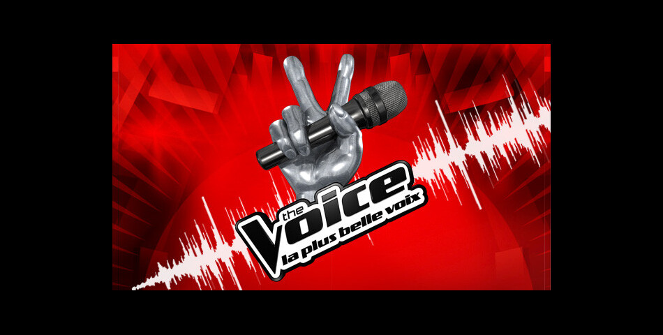 L&#039;émission The Voice sur TF1