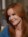 Bree alias Marcia Cross