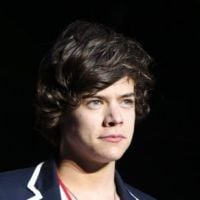 Harry Styles des One Direction : bientôt au cinéma dans la peau d&#039;une légende vivante ?