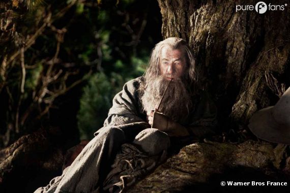 Ian McKellen a failli ne pas revenir dans Bilbo le Hobbit !