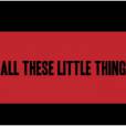 One Direction fait un carton avec Little Things !