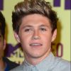 Niall Horan finira bien par trouver !