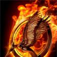 Le poster animé d'Hunger Games 2