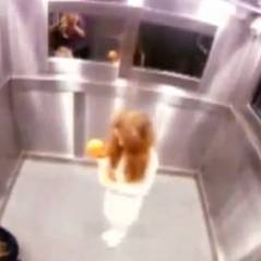 Vidéobuzz : L'ascenseur hanté encore + flippant que Paranormal Activity ! (VIDEO)