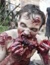 06. The Walking Dead - 2.550.000 téléchargements en 2012