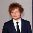 Ed Sheeran est un très beau jeune homme !