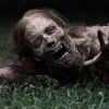 Walking Dead saison 3 revient le 10 février 2013 sur AMC aux Etats-Unis