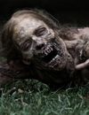 Walking Dead saison 3 revient le 10 février 2013 sur AMC aux Etats-Unis