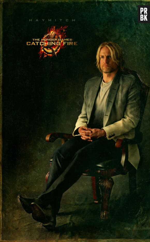Haymitch star d'un nouveau poster d'Hunger Games 2