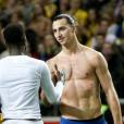 Zlatan Ibrahimovic, le bad boy du PSG, a la cote