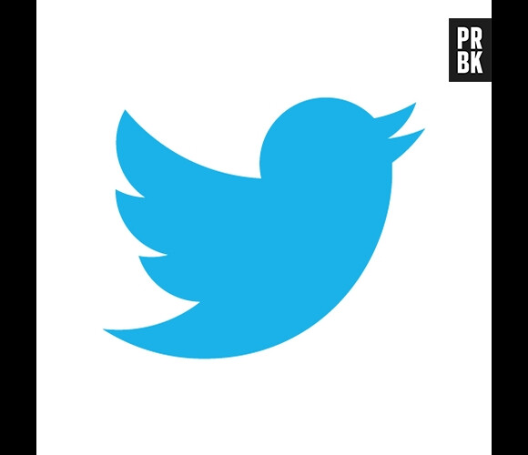 Twitter a été très utilisé durant les manifestations turques à Istanbul, ce vendredi 31 mai