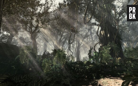 Call of Duty Ghosts sort le 5 novembre 2013 sur PS3, Xbox 360 et Wii U