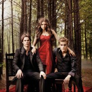 The Vampire Diaries saison 5, Arrow saison 2 : retour automnal pour les séries de la CW