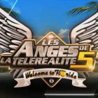 Les Anges de la télé-réalité 5 : LA saison de tous les succès en chiffres clés