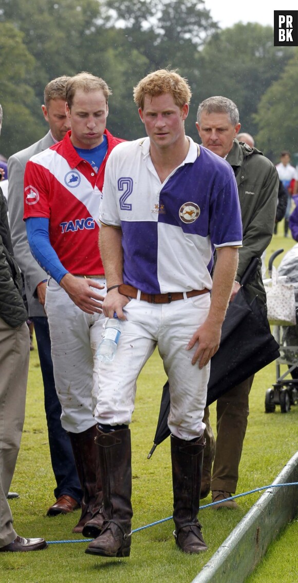 Le Prince William et le Prince Harry, fans de polo