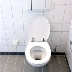 Le 19 novembre, journée mondiale des toilettes : une idée de chiottes ?