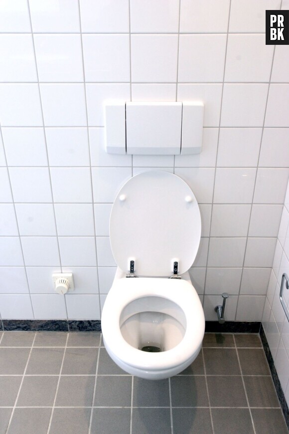 Le 19 novembre décrété Journée Mondiale des toilettes