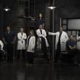 Grey's Anatomy saison 10 : la série complète son casting