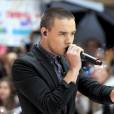 Liam Payne a retrouvé l'amour après Danielle Peazer