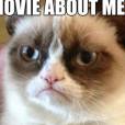 Grumpy Cat n'est pas pressé de voir son film