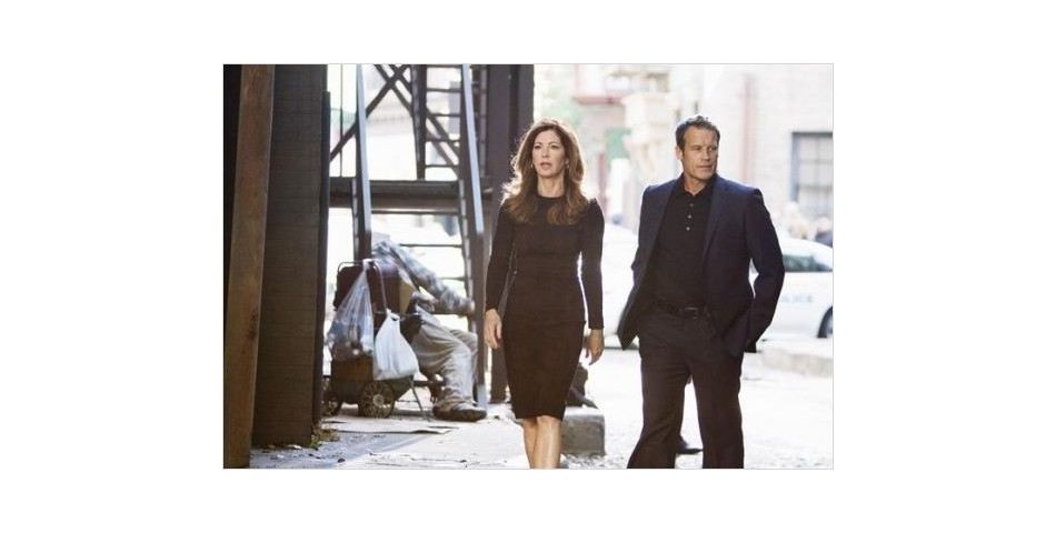 Body of Proof la série pourrait renaître Purebreak