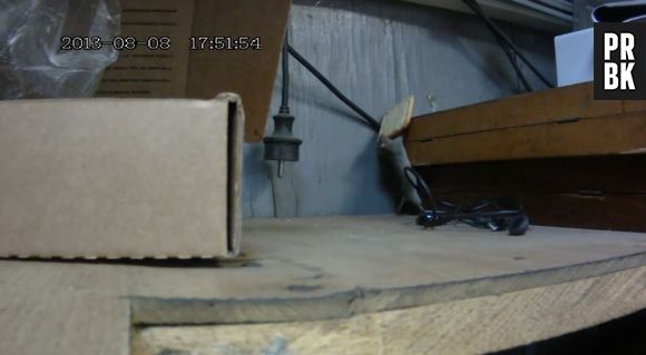 Une souris, qui a les yeux plus gros que le ventre, réussit à soulever un biscuit plus gros qu'elle