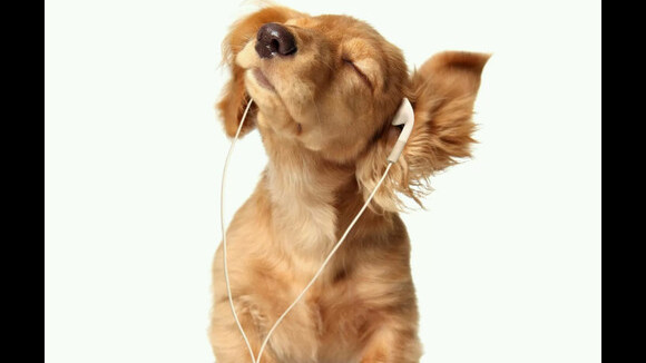 Miley Cyrus, Aluna George, Little Mix, Talisco ... Playlist #21 : dans les oreilles de la rédac cette semaine