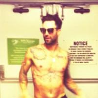 Adam Levine homme le plus sexy de 2013 selon People ? On est pour