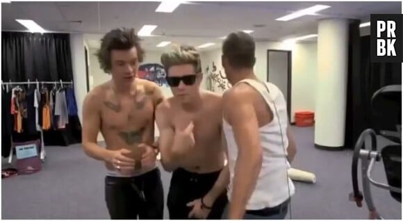 One Direction : Harry Styles et Niall Horan torses nus pendant le 1D Day 2013