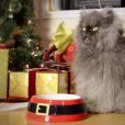 Grumpy Cat, Colonel Meow, Oskar the Blind Cat, Nala Cat et  Hamilton the Hipster Cat fêtent Noël pour Friskies 